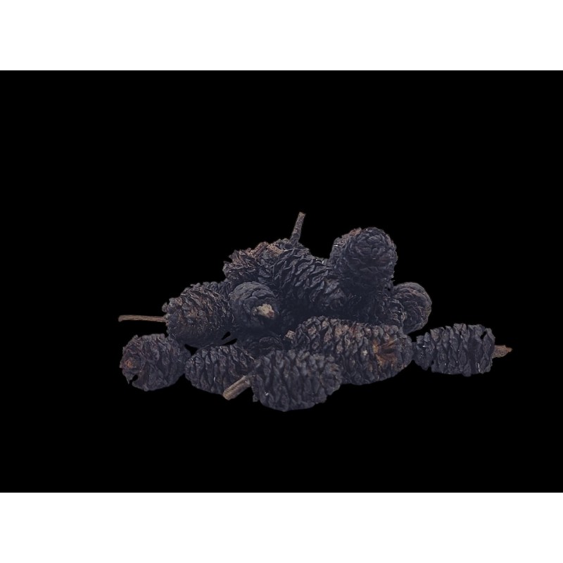 Stabilized mini pine cone