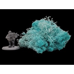 Lichen turquoise