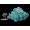 Lichen turquoise