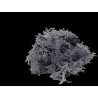 Lichen gris