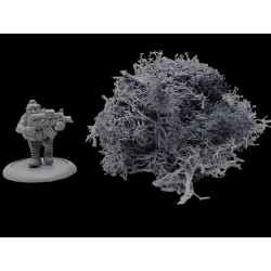 Lichen tempted in grey
