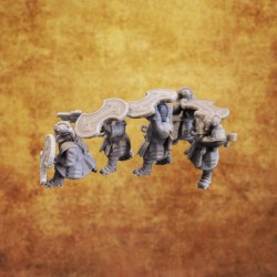 Dwarfs of the shield - Turtle