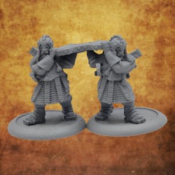 Dwarfs of the shield - Turtle