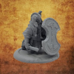 Dwarfs of the shield - Turtle