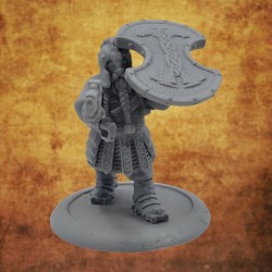 Dwarfs of the shield - Turtle